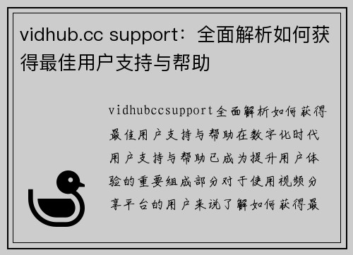 vidhub.cc support：全面解析如何获得最佳用户支持与帮助